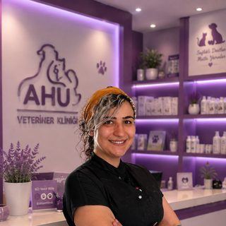 Elif Umay Takan