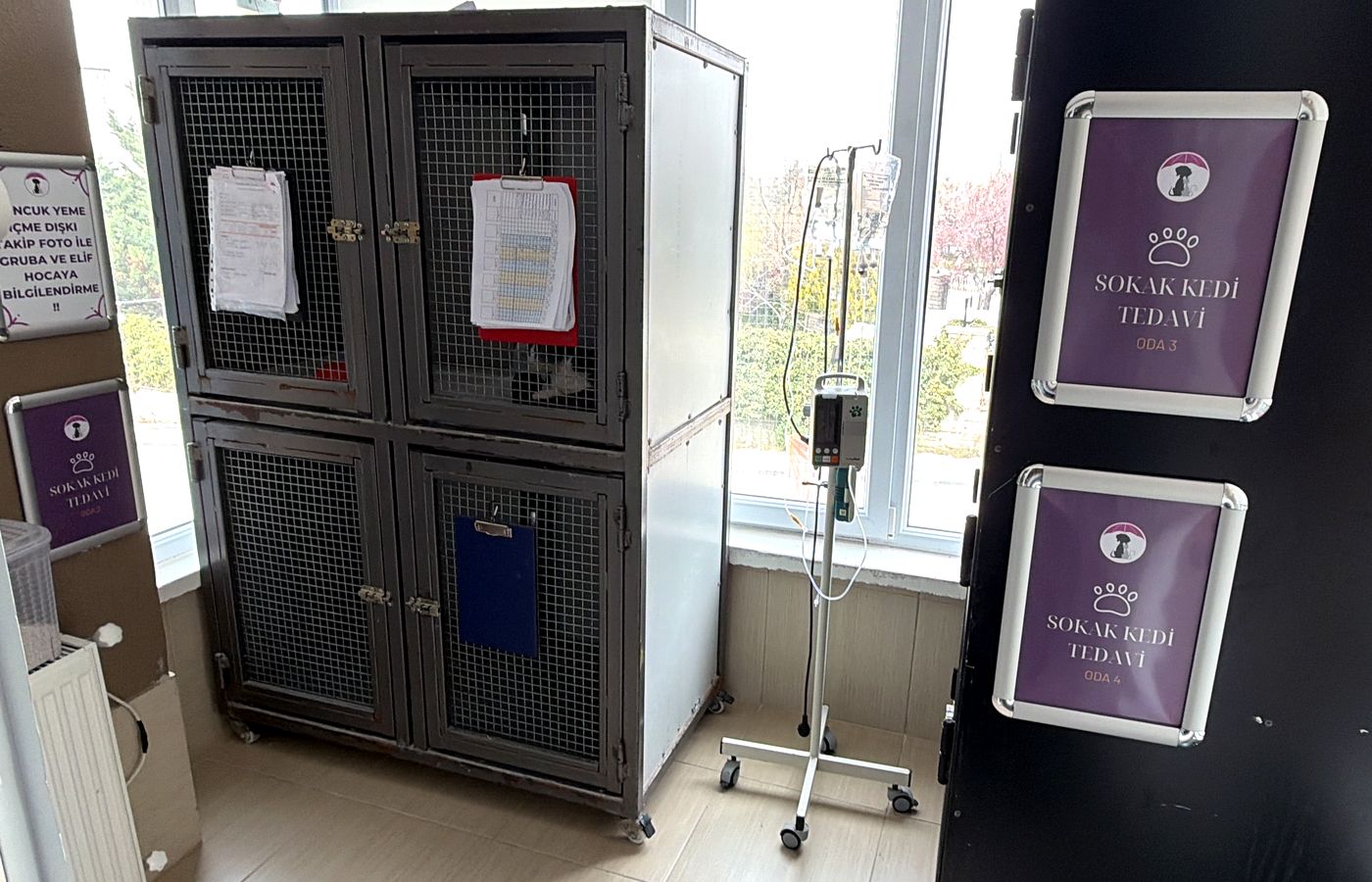 Sokak hayvanları için ayrılmış tedavi odası ve serum ünitesi